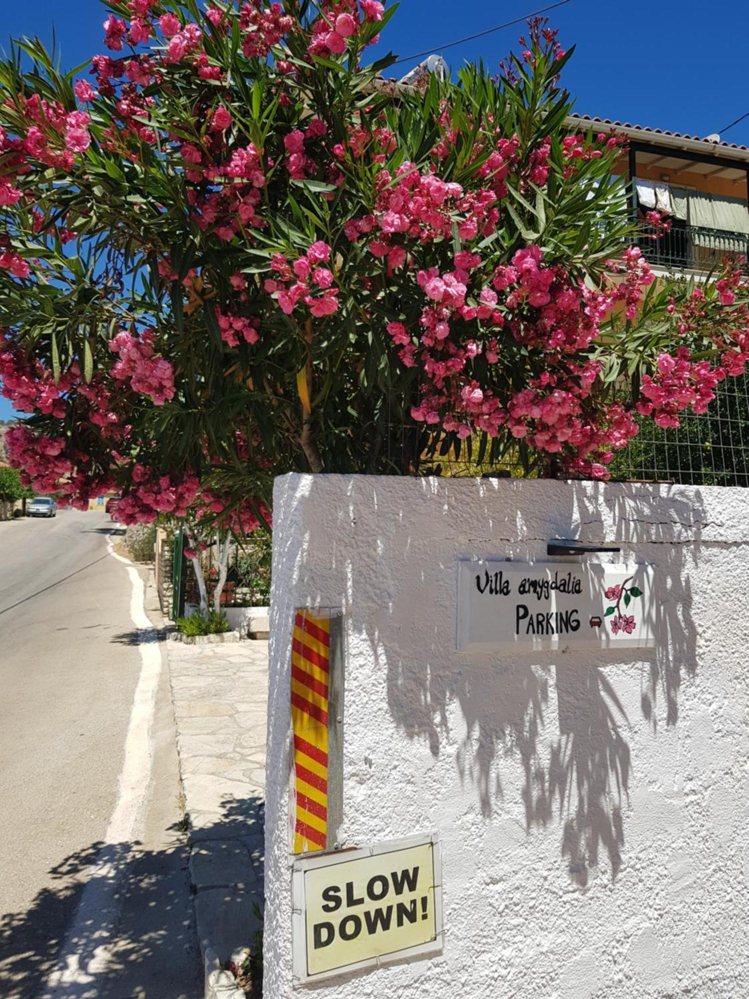 Villa Amygdalia Dilináta Dış mekan fotoğraf